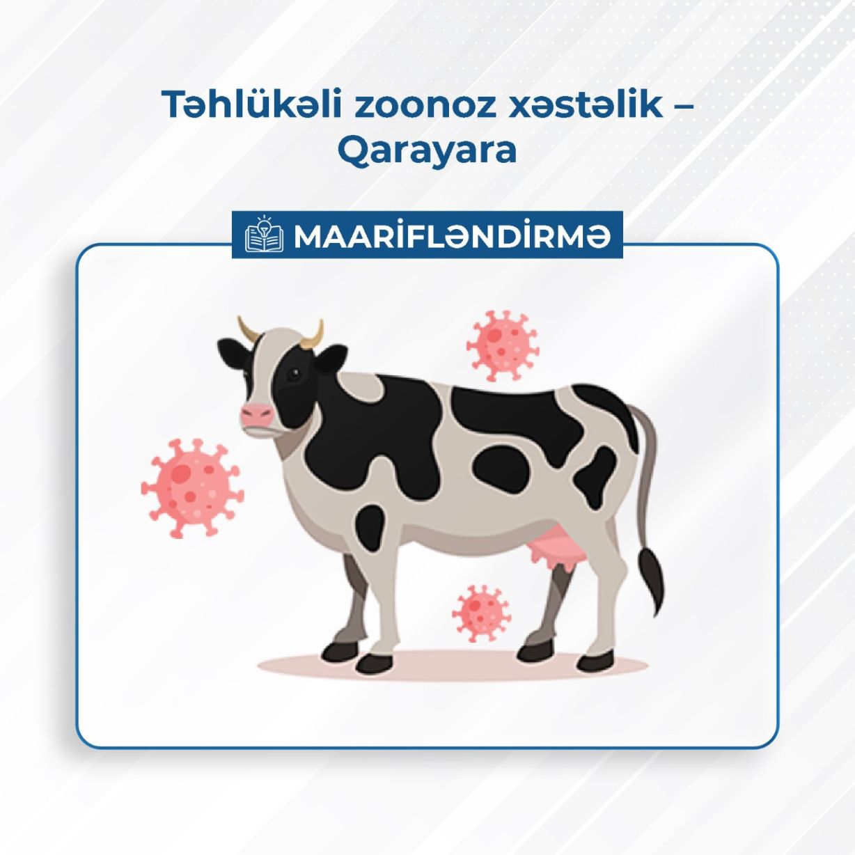 Təhlükəli zoonoz xəstəlik – Qarayara