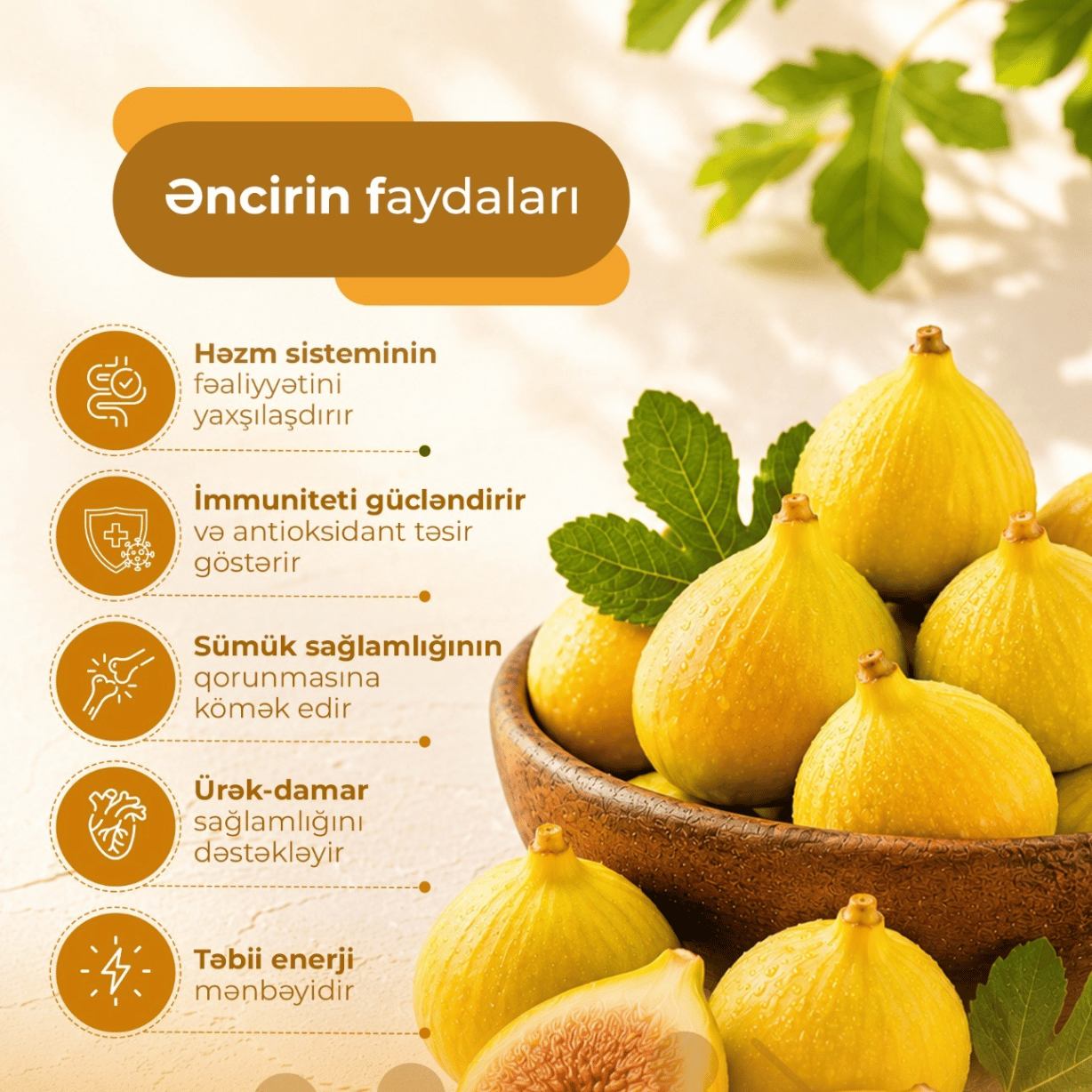 Əncirin faydaları