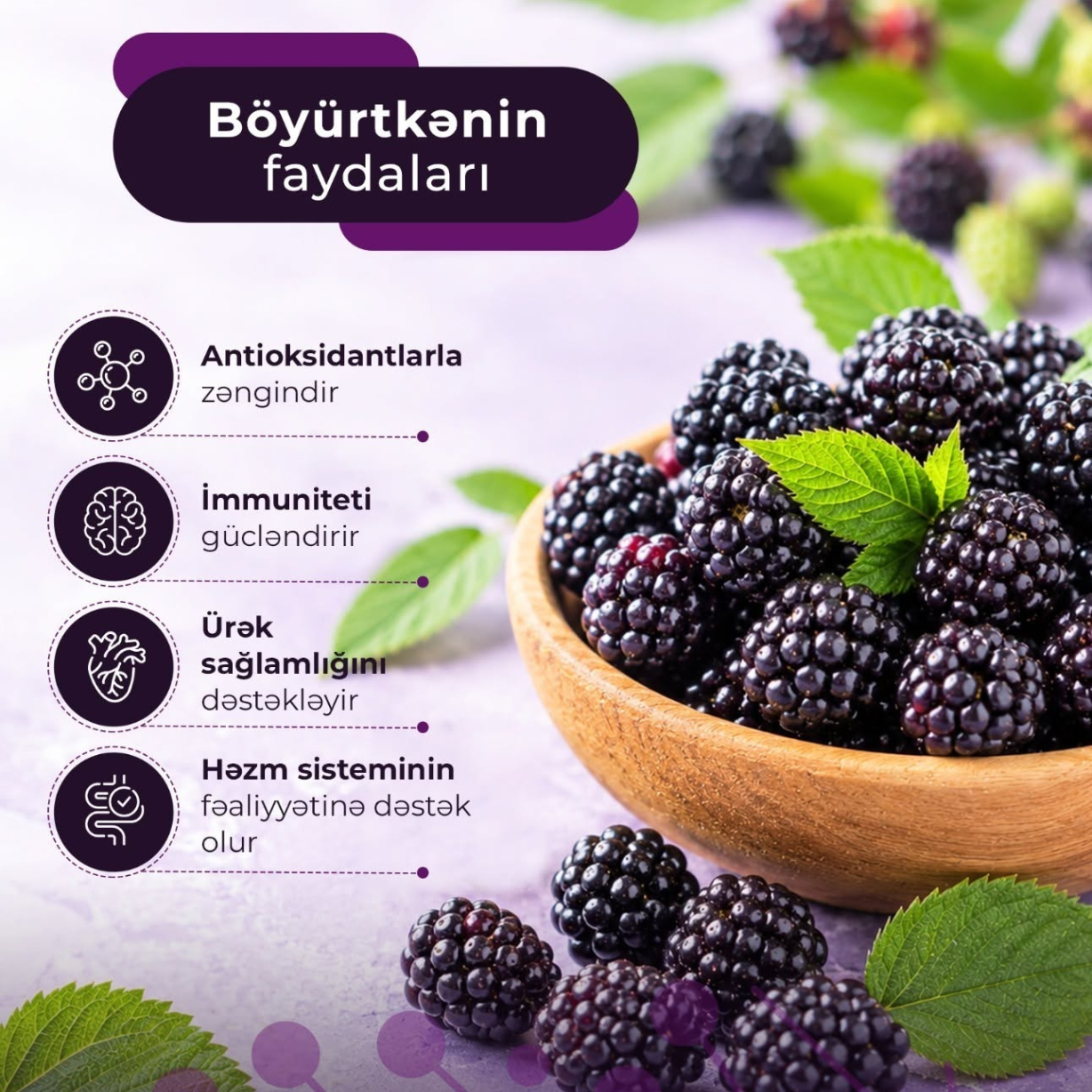 Böyürtkənin faydaları