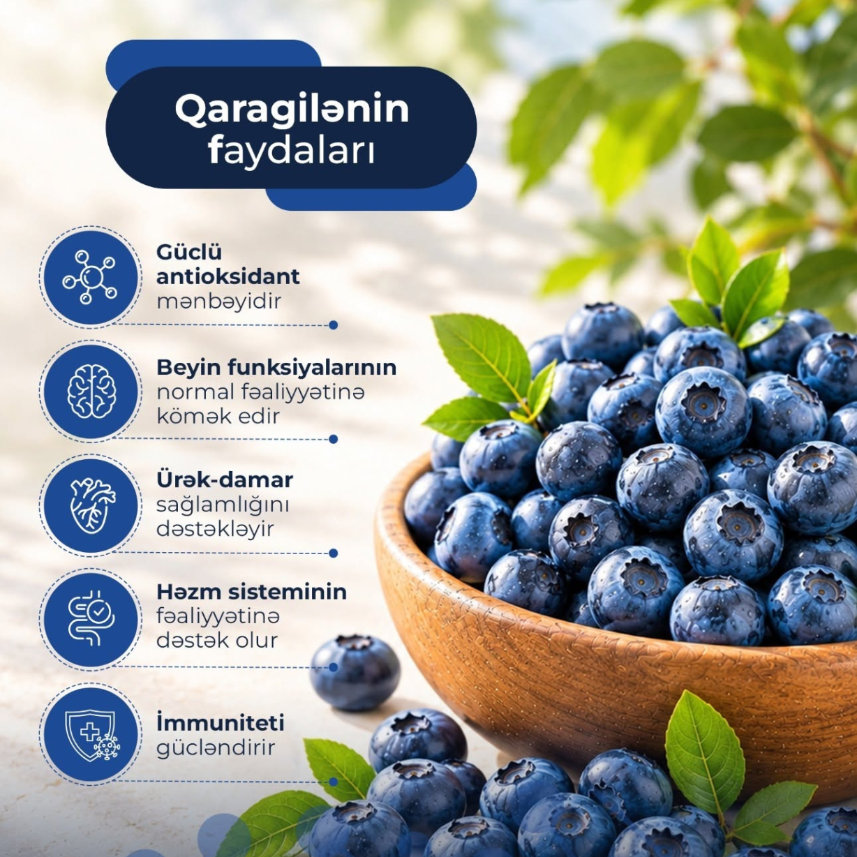 Qaragilənin faydaları