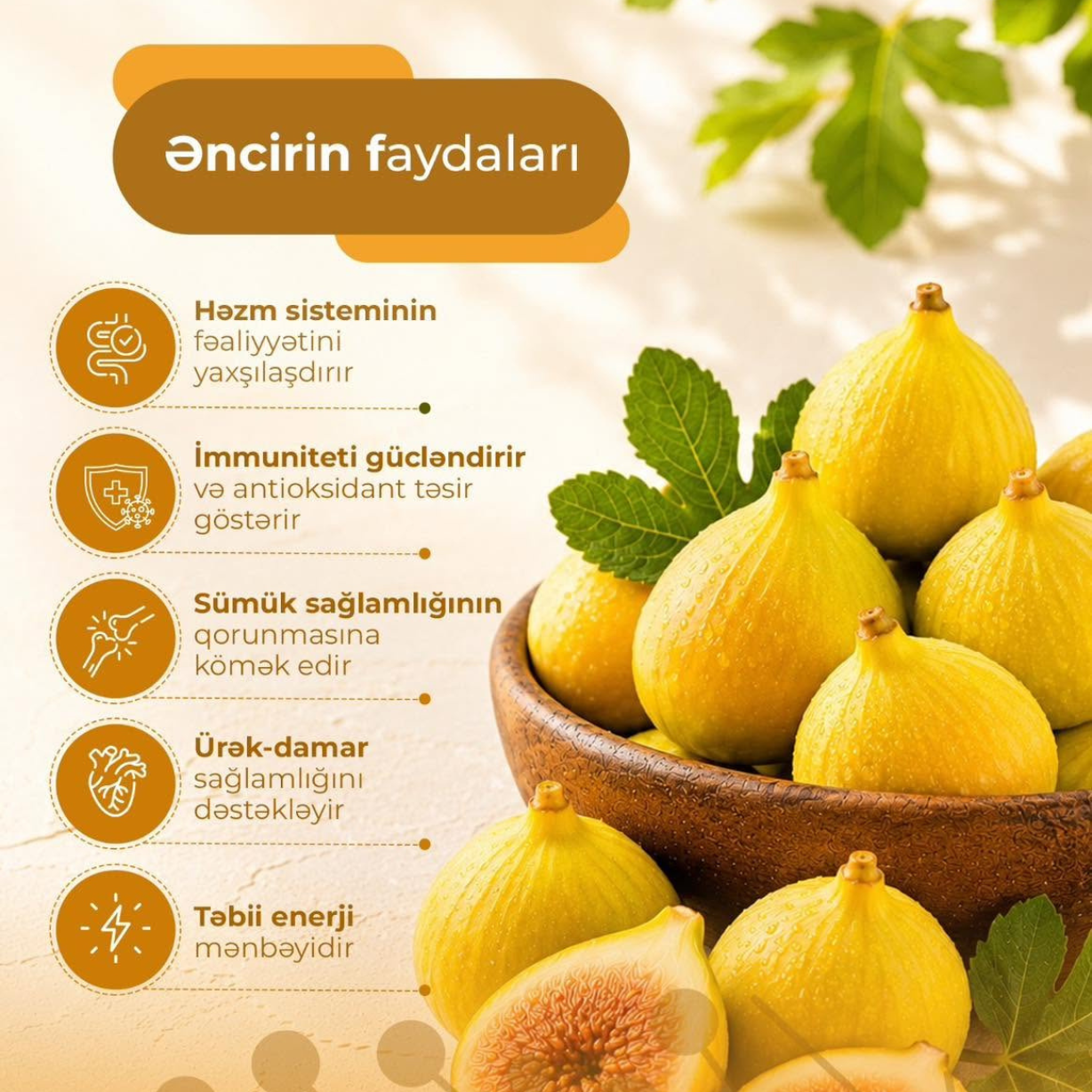 Əncirin faydaları