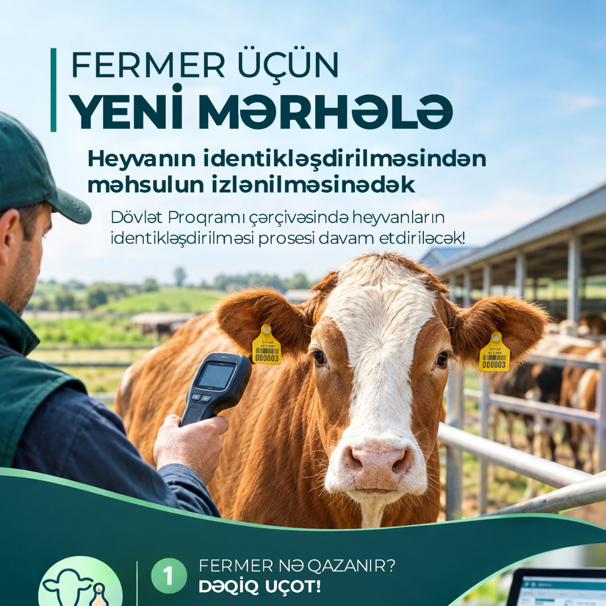 Fermer üçün yeni mərhələ: heyvanın identikləşdirilməsindən məhsulun izlənilməsinədək
