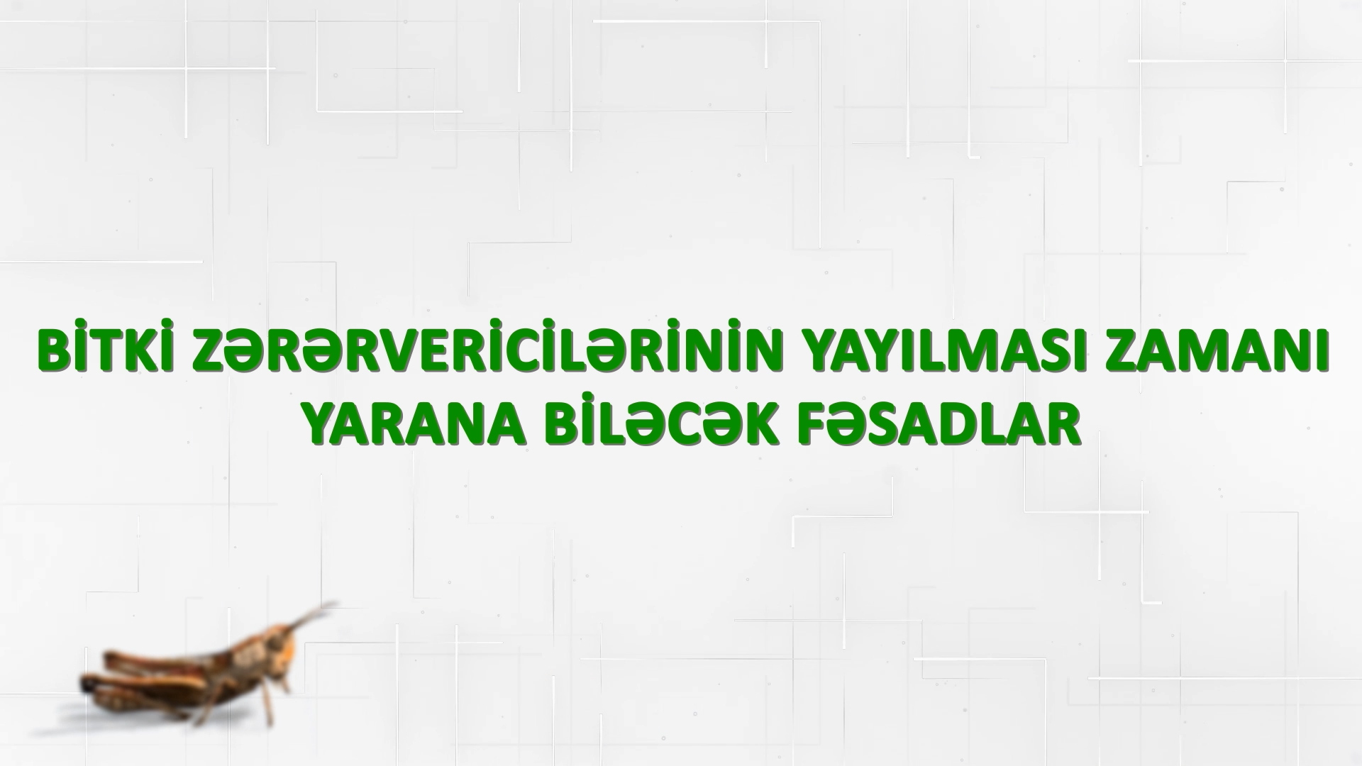 AQTA bitki zərərvericiləri ilə mübarizəyə dair yeni videoçarx hazırlayıb