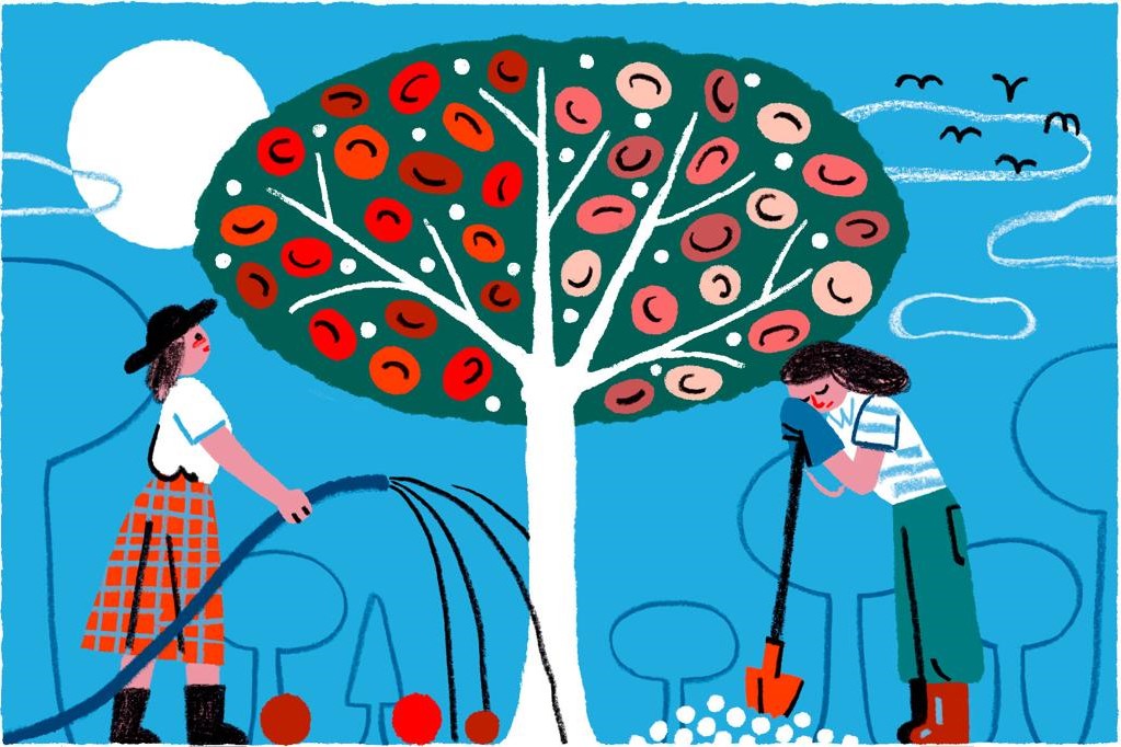 Qidalardakı gözəgörünməz qəhrəman